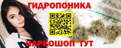 a pvp Новодвинск