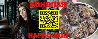 a pvp Новодвинск