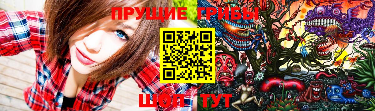 Унеча  Псилоцибиновые грибы прущие грибы  Галлюциногенные грибы Cubensis  где купить наркоту  Вход с VPN 