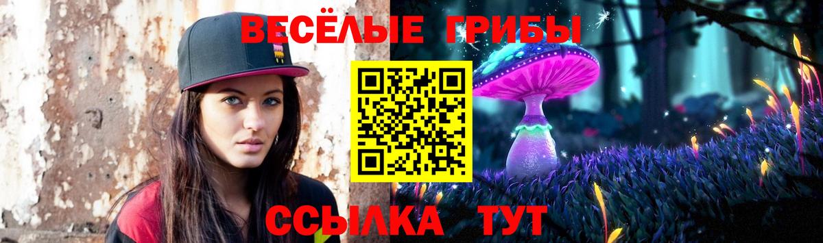 Галлюциногенные грибы мицелий  хочу   Унеча 