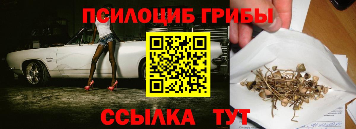 Галлюциногенные грибы Psilocybine cubensis Унеча